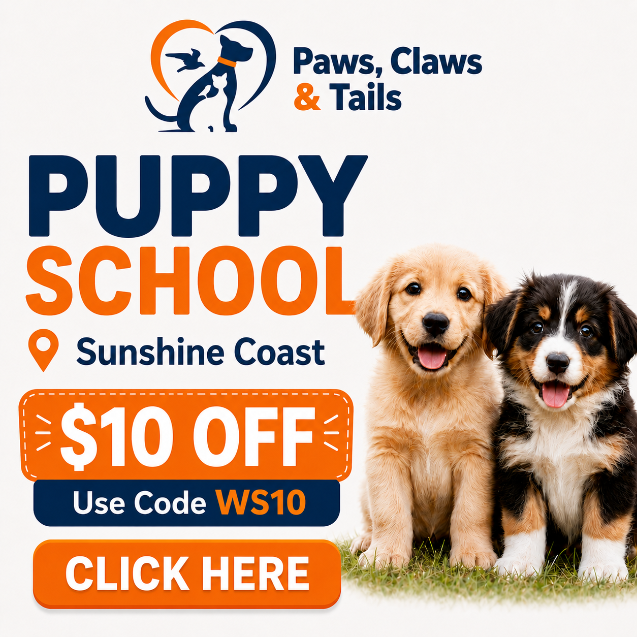 Paws Claws & Tails Puppy School